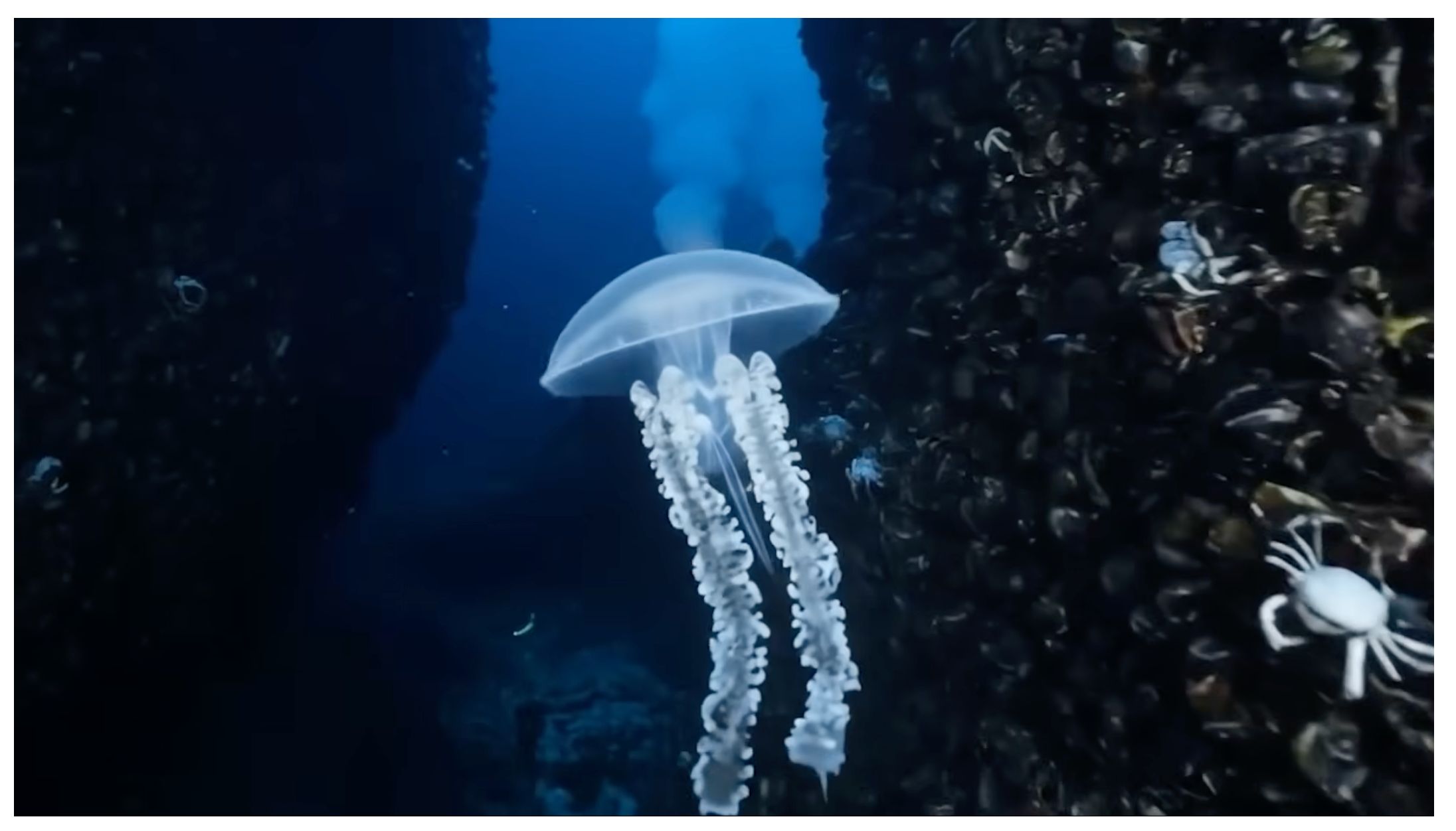 Genie 3 AI virtual world 3D environment interactive simulation real-time generation